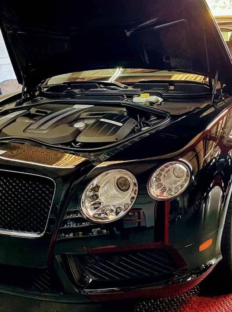 European Car Care dallas