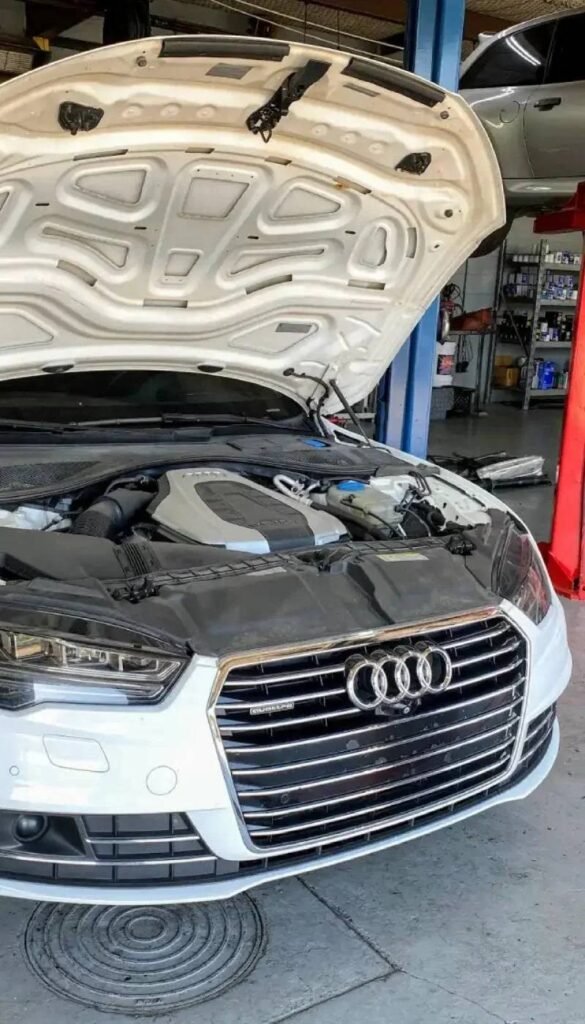 European Car Care dallas